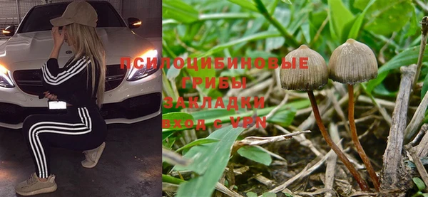 бошки Аркадак
