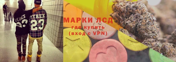 бошки Аркадак